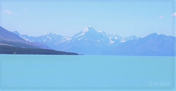 息をのむほどの美しい湖―プカキ湖（モニターツアー記録）